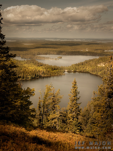 Suelos Y Vegetaci n De La Regi n Biogeogr fica Boreal De Europa Bioma suelos-y-vegetaci-n-de-la-regi-n-biogeogr-fica-boreal-de-europa-bioma